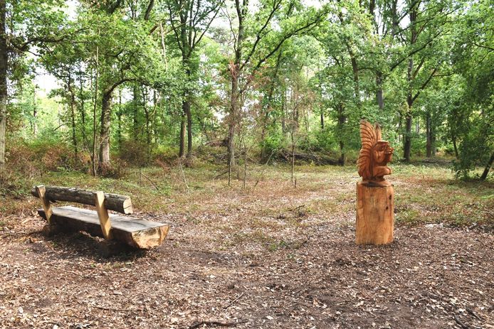 De natuurbegraafplaats is ook een stilteplek.
