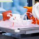 ‘s Werelds enige maker van apenpokkenvaccin schroeft productie op