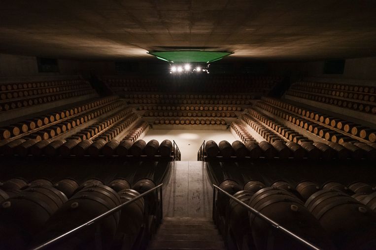 Een wijnkelder als een amfitheater: Rocca di Frassinello, ontworpen door toparchitect Renzo Piano.  Beeld Matteo Serpi