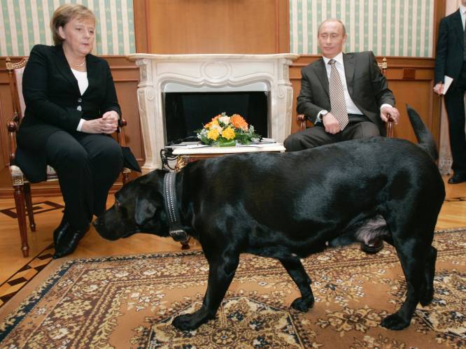 Angela Merkel vertelt over moment dat ze besefte dat Poetin gevaarlijk was: “Dat was het beroemde bezoek met de hond”