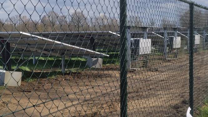Gezoem zonnepark Lievelde nog niet verholpen: bij klachten gaat deel panelen ‘uit’