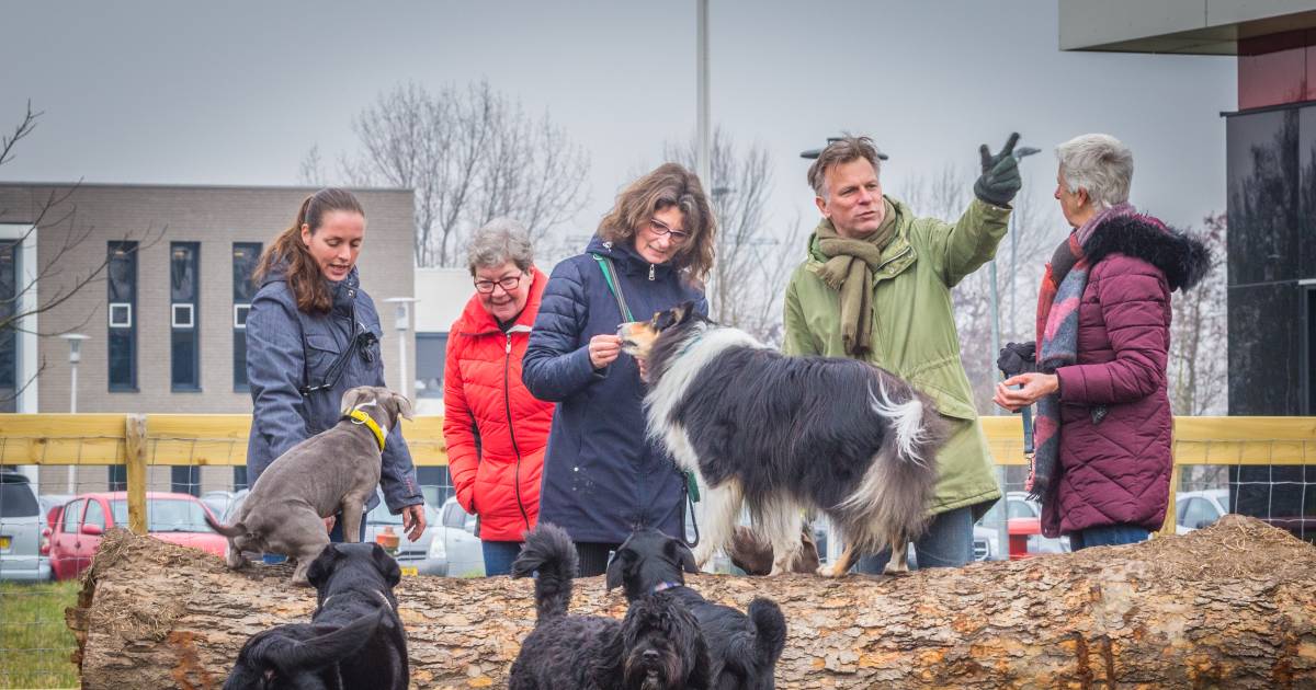 Hondenspeeltuin in Maasdam is groot succes