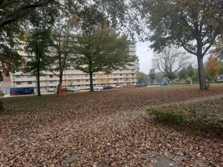 Twee- tot driehonderd tijdelijke woningen in Boxtel: ’Ambitieus ja, maar realistisch’