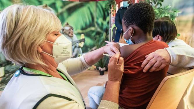 “Prik? Ik heb zelfs niks gevoeld!”: kindvriendelijke vaccinatie in de ZOO mist zijn doel niet