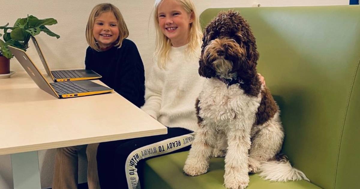 Schoolhond Lola geeft kinderen meer zelfvertrouwen | Branded | pzc.nl - Provinciale Zeeuwse Courant