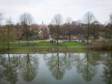 Groningen is bezaaid met smileys van bladeren: wie is die mysterieuze bladkunstenaar?