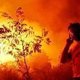 Dode bij gigantische bosbrand in Macedonië