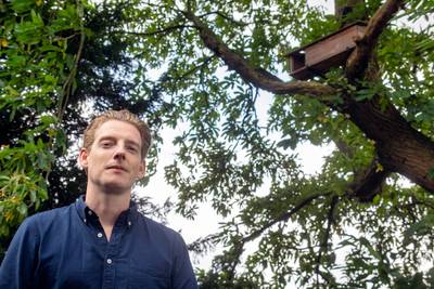 Jonge steenuilen stelen de show in de tuin van Paul: ‘Het is een aandoenlijk schouwspel’