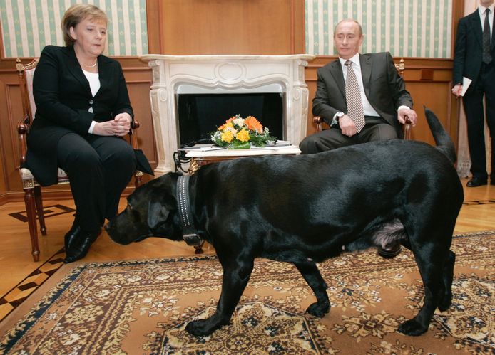 Angela Merkel en Vladimir Poetin tijdens een ontmoeting in Rusland in 2007.