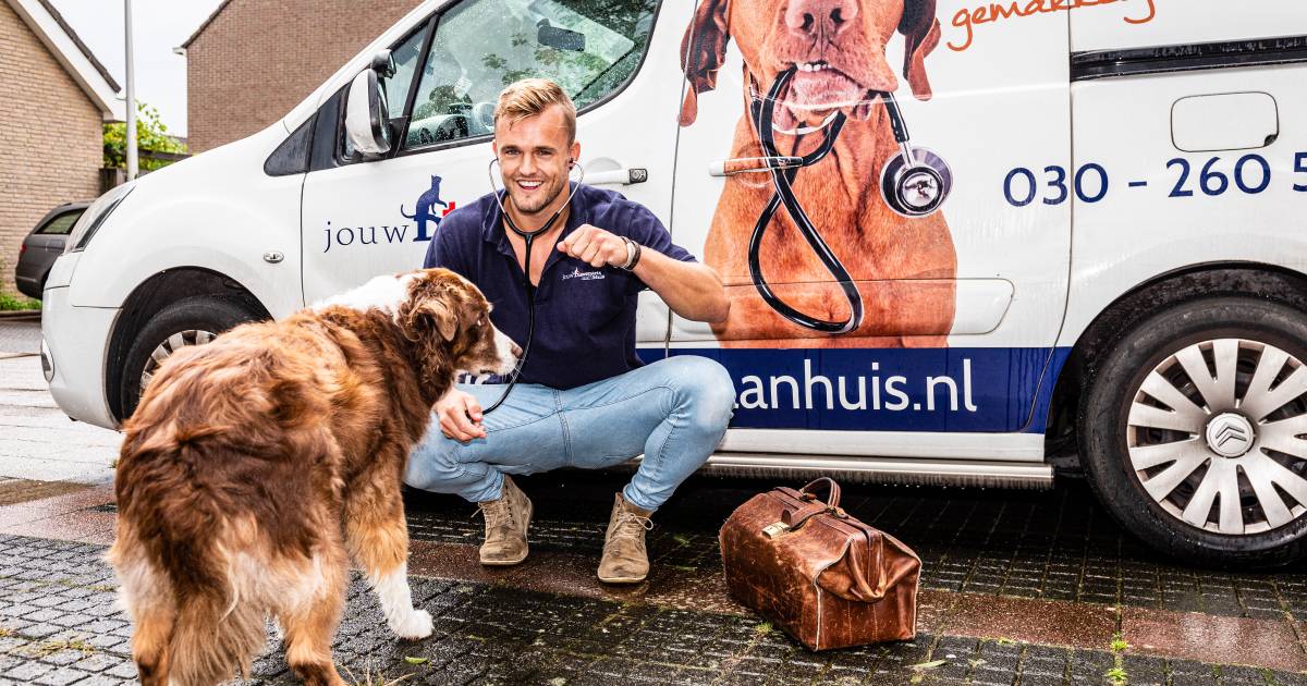 Deze Alphense Dierenarts Rijdt De Regio Af Voor Huisbezoeken Ik Geef Nooit Zomaar Een Spuitje Alphen Ad Nl