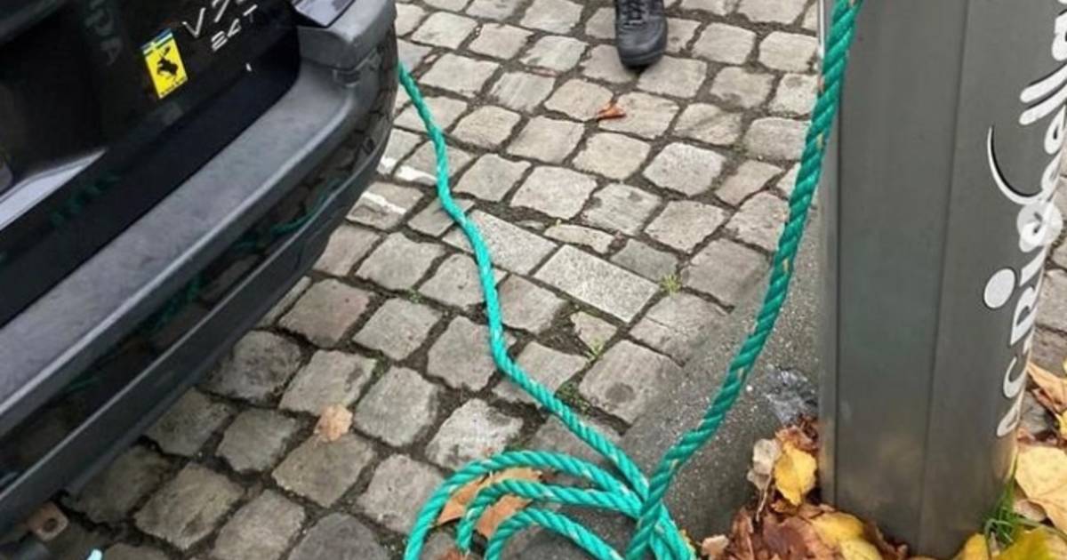 www.hln.be