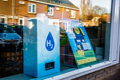 Huis-aan-huis-enquête: wil Prinsenbeek investeren in duurzaam dorp?