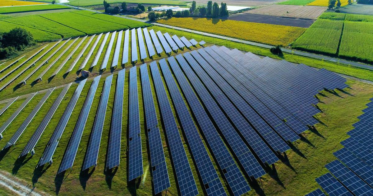 Streep door zonneweide met duizend zonnepanelen in Rockanje