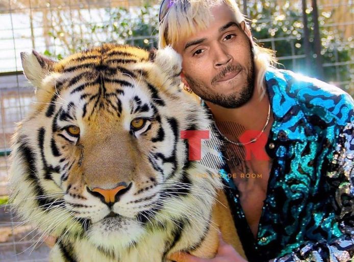 Chris Brown als 'Tiger King'