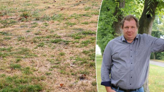 Zo herstel je een dor gazon in het najaar: “nu krijgt gras geen concurrentie van onkruid”