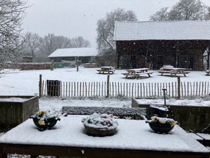 Sneeuw viel ook al in Ede.