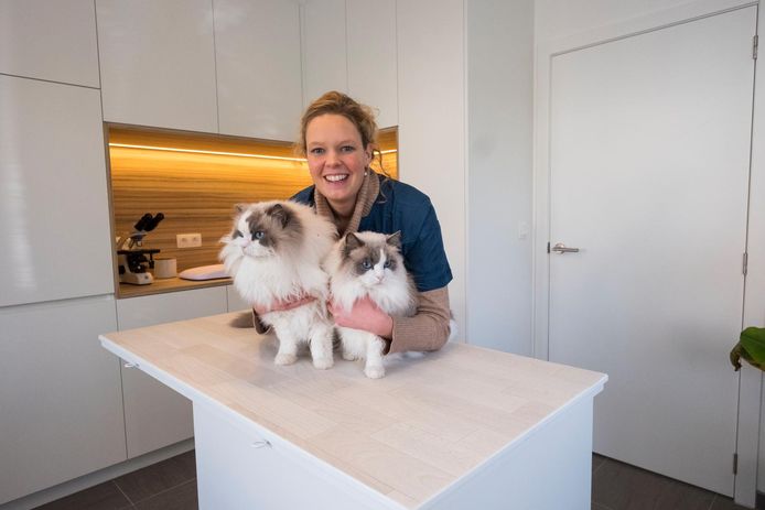 Dominique De Schutter opent de praktijk voor katten bij haar thuis.
