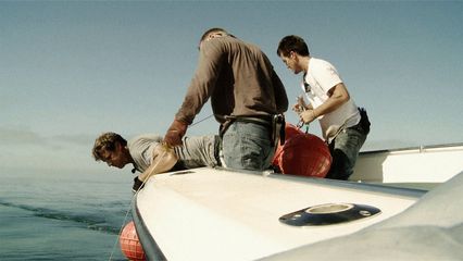 2. Bay of the Fighting Sharks