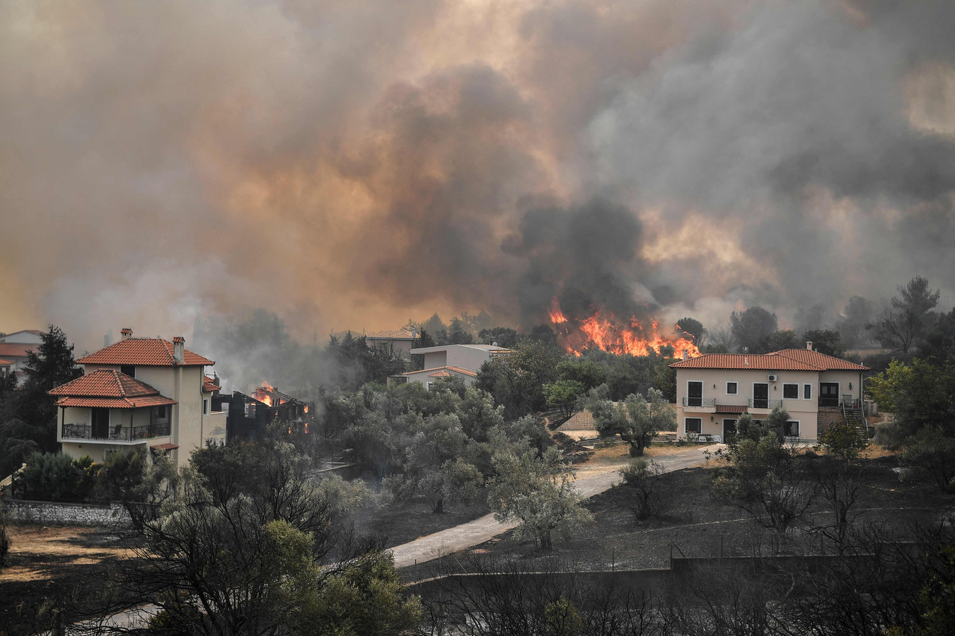 Het vuur bereikt Afidnes, zo'n 30 kilometer ten noorden van Athene.