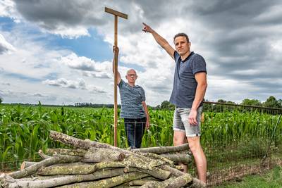 Omwonenden willen streep door zonneparken Diessen en Haghorst: ‘Ze zijn binnen een paar jaar achterh