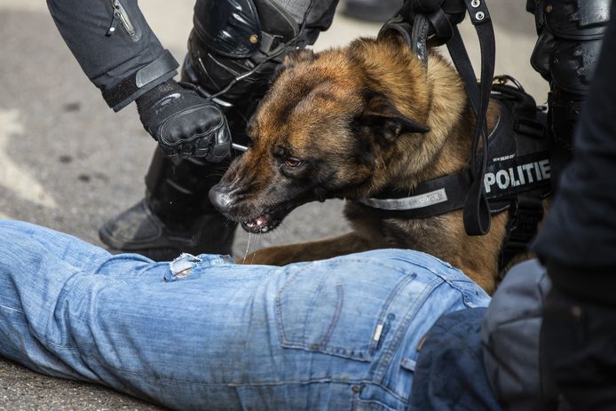 Een politie-agent wordt niet vervolgd voor het inzetten van zijn diensthond.