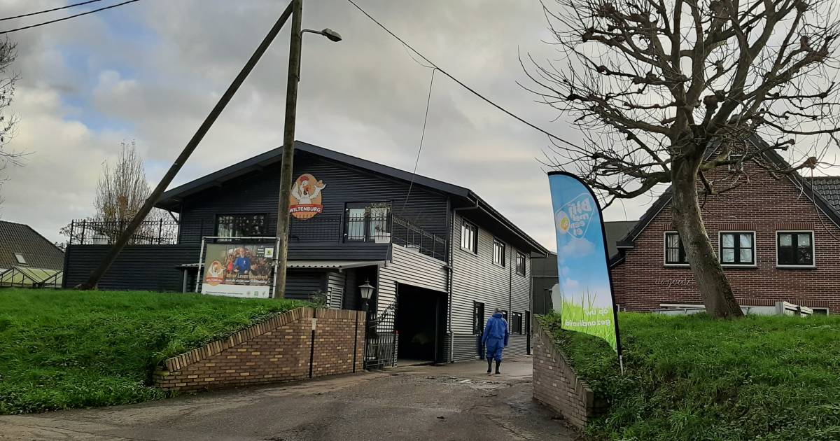 Vogelgriep bij pluimveebedrijf in Hekendorp, 100.000 dieren worden geruimd
