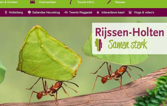Webpagina Rijssen-Holten Samen Sterk wordt sinds 19 maart, toen ie live ging, goed bezocht.