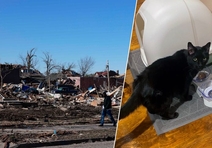 De schade die de reeks tornado's in Mayfield aanrichtte (links) en kat Madix (rechts).