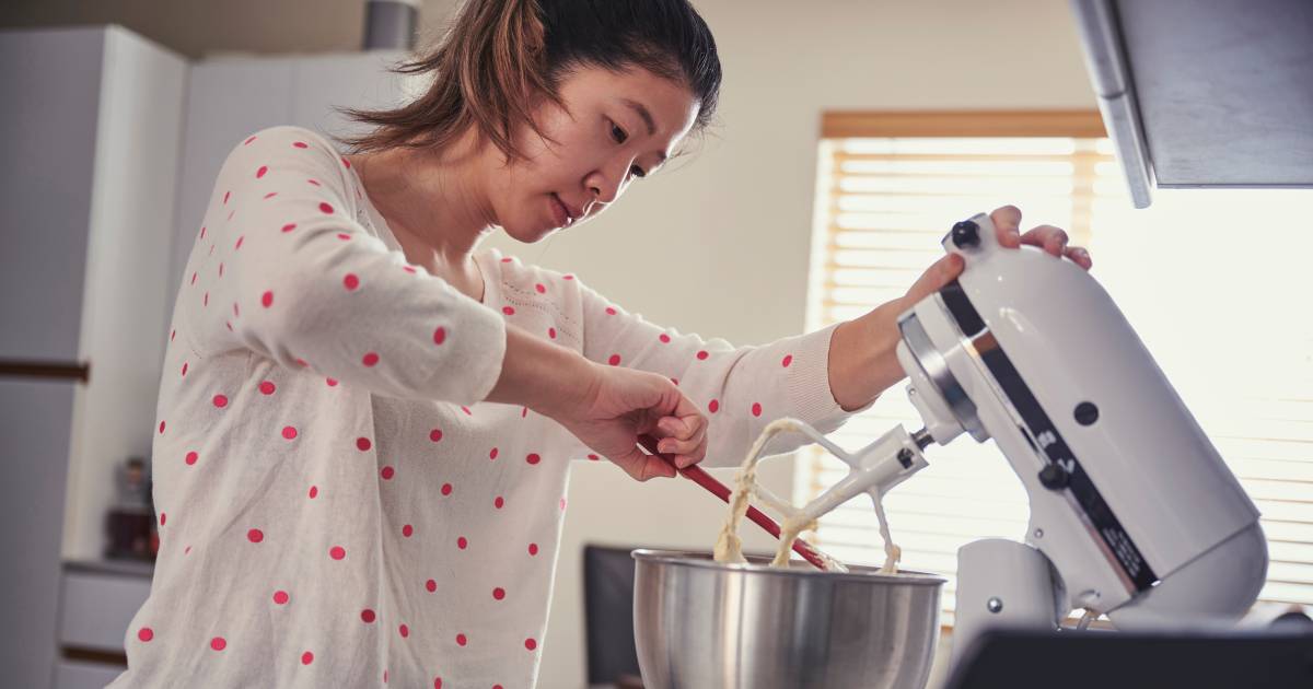 Bosch MUM5 Kitchen Robot Review: Features, Recipes, and Discount in HLN Shop