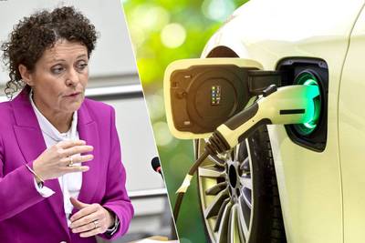Citroën en Tesla populairste merken bij aanvraag premie voor elektrische auto