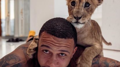 Depay oogst opnieuw kritiek met welp in videoclip: “Lijkt misschien leuk, maar er schuilt veel dierenleed achter”