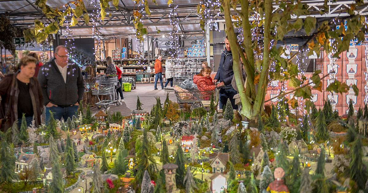 Volop kerst in tuincentra: 'Soms zie ik mensen lopen en kom ik ze twee later een verderop tegen' | Bergen op Zoom | bndestem.nl