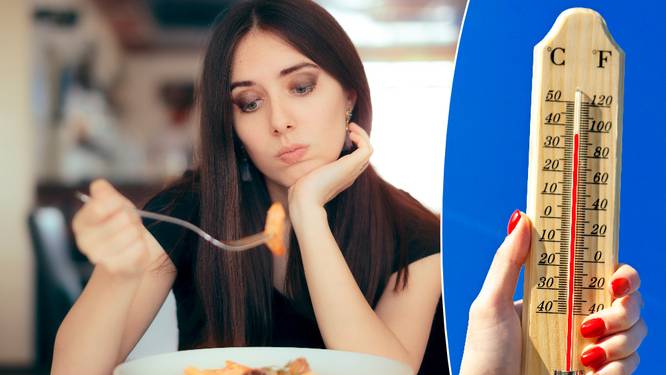 Daarom daalt je eetlust als de temperaturen stijgen