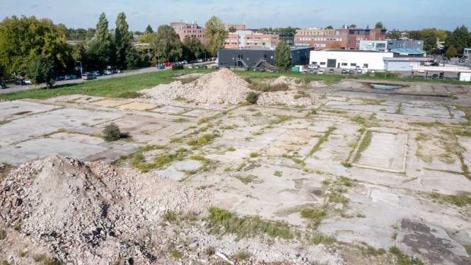 Nieuw parkeeronderzoek in Harderwijk: ‘Wil je wel betaald parkeren in Stromenwaard of Slingerbos?’
