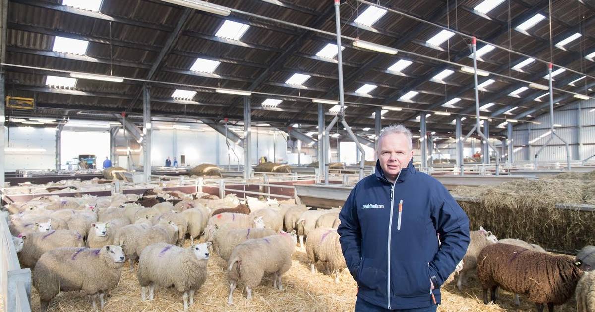 Maximaal 350 slachtingen per dag in Zuilichem