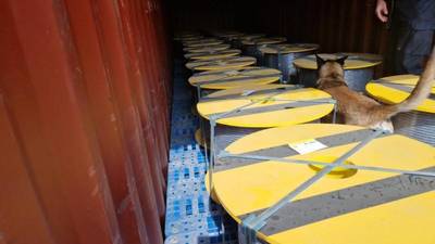 Meer dan anderhalve ton heroïne gevonden in twee containers in Antwerpse haven: straatwaarde van 45 miljoen euro