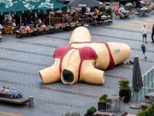 Gezocht: hét evenement dat Tilburg op de kaart zet 