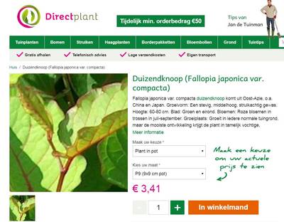 Exotische 'sloopplant' gewoon te koop bij tuincentrum