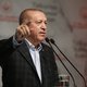 Erdogan roept Griekenland op grenzen open te stellen voor migranten: ‘Laat ze naar andere Europese landen gaan’