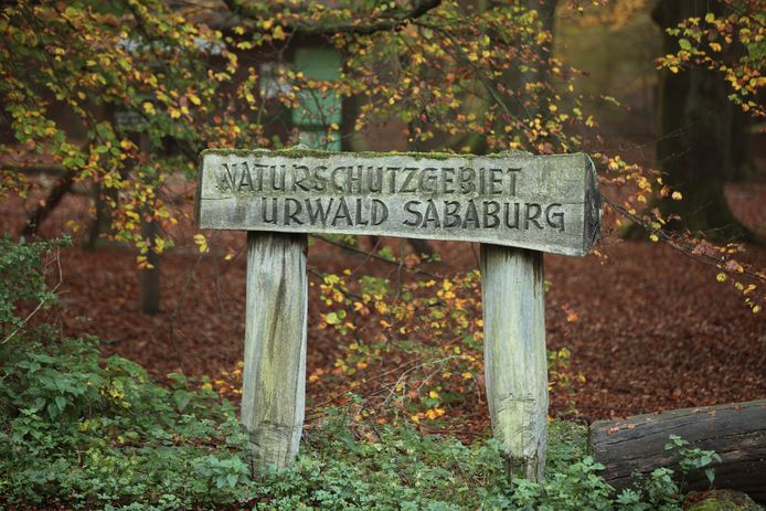 Nationaal park Reinhardswald