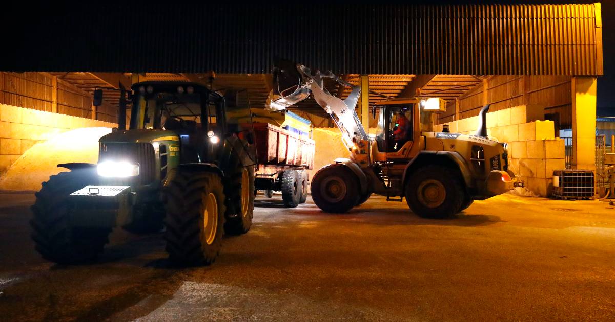 KNMI waarschuwt voor gladheid in groot deel van het land, dode door verkeersongeval op ‘spiegelgladde’ weg.