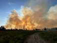 Zeer grote brand in natuurpark de Peel in Nederland