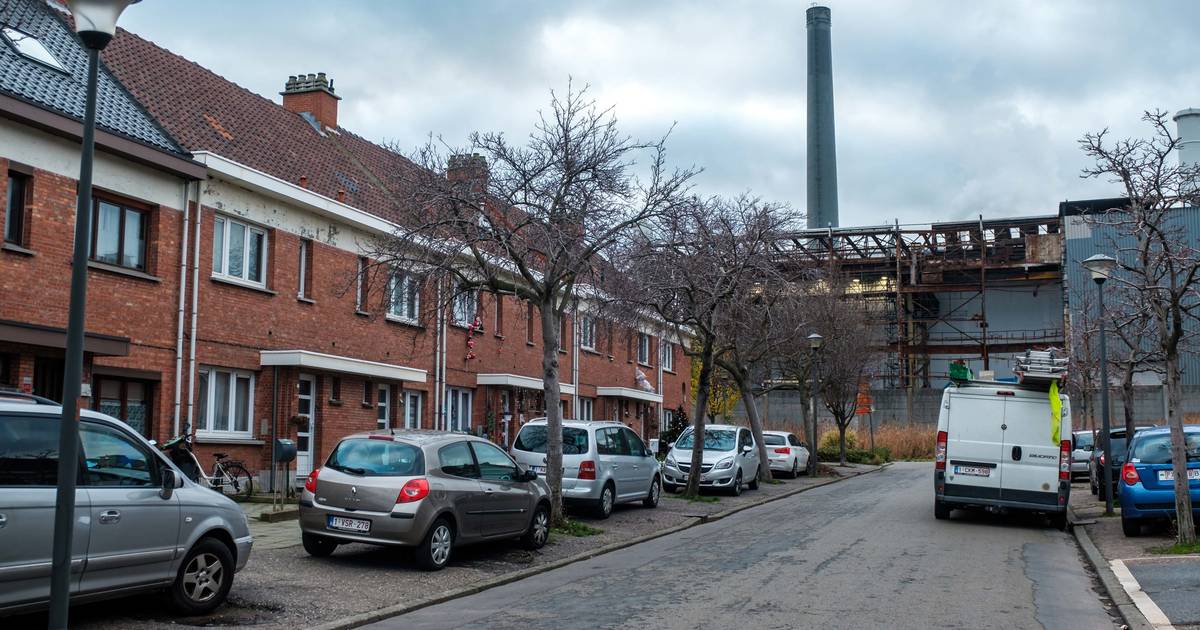 Nieuw gezondheidsonderzoek rond Umicore Hoboken: naast ...