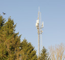 Een telecommast elders in het land, die hoog boven de bomen uitsteekt.