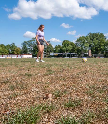 Hitte en droogte teisteren Zeeuwse voetbalvelden: groene mat is nu al knollenveld  