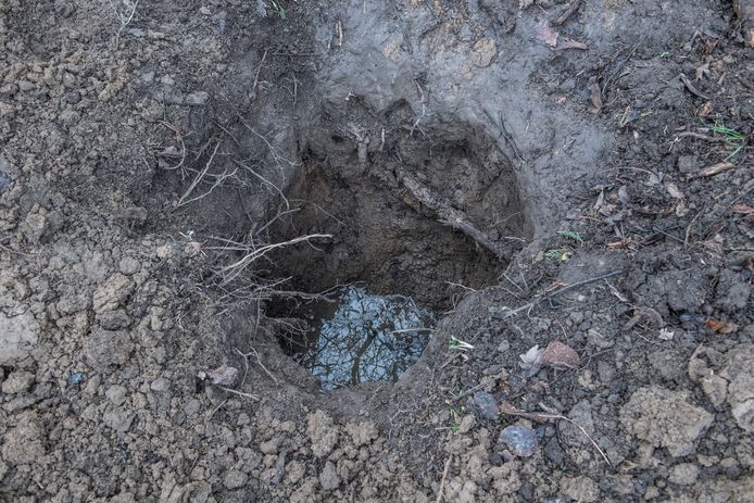 Een door onbekenden gegraven kuil in een Ommerense kersenbongerd