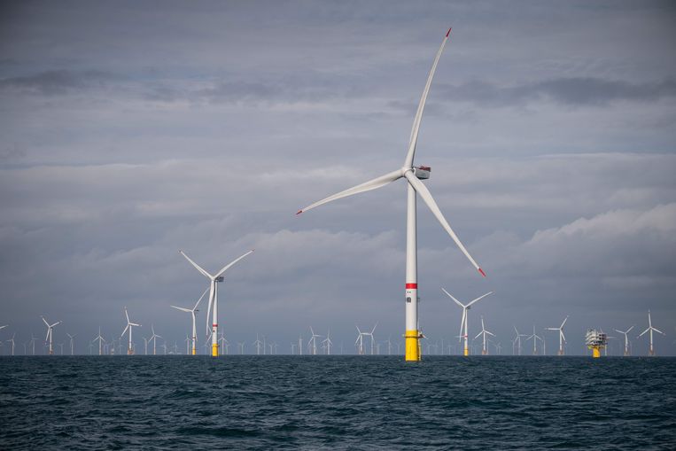Eneco heeft onder meer een pak windturbines staan voor de kust van Oostende. Beeld AFP