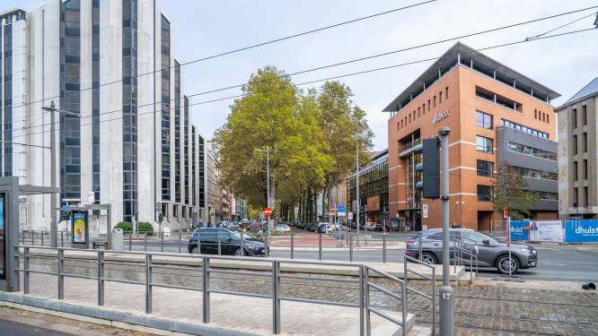 Houttransporteurs bij het Eilandje gearresteerd: hout onvoldoende beschermd tegen ongedierte 