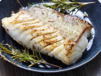 Wat eten we vandaag? Skrei: "Verpak de vis met wat mosseltjes in een papillot in de oven"