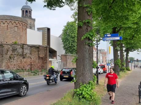 Pontbaas over fietsenrekken Mimik op Deventer IJsselkade: ‘Geen gezicht’